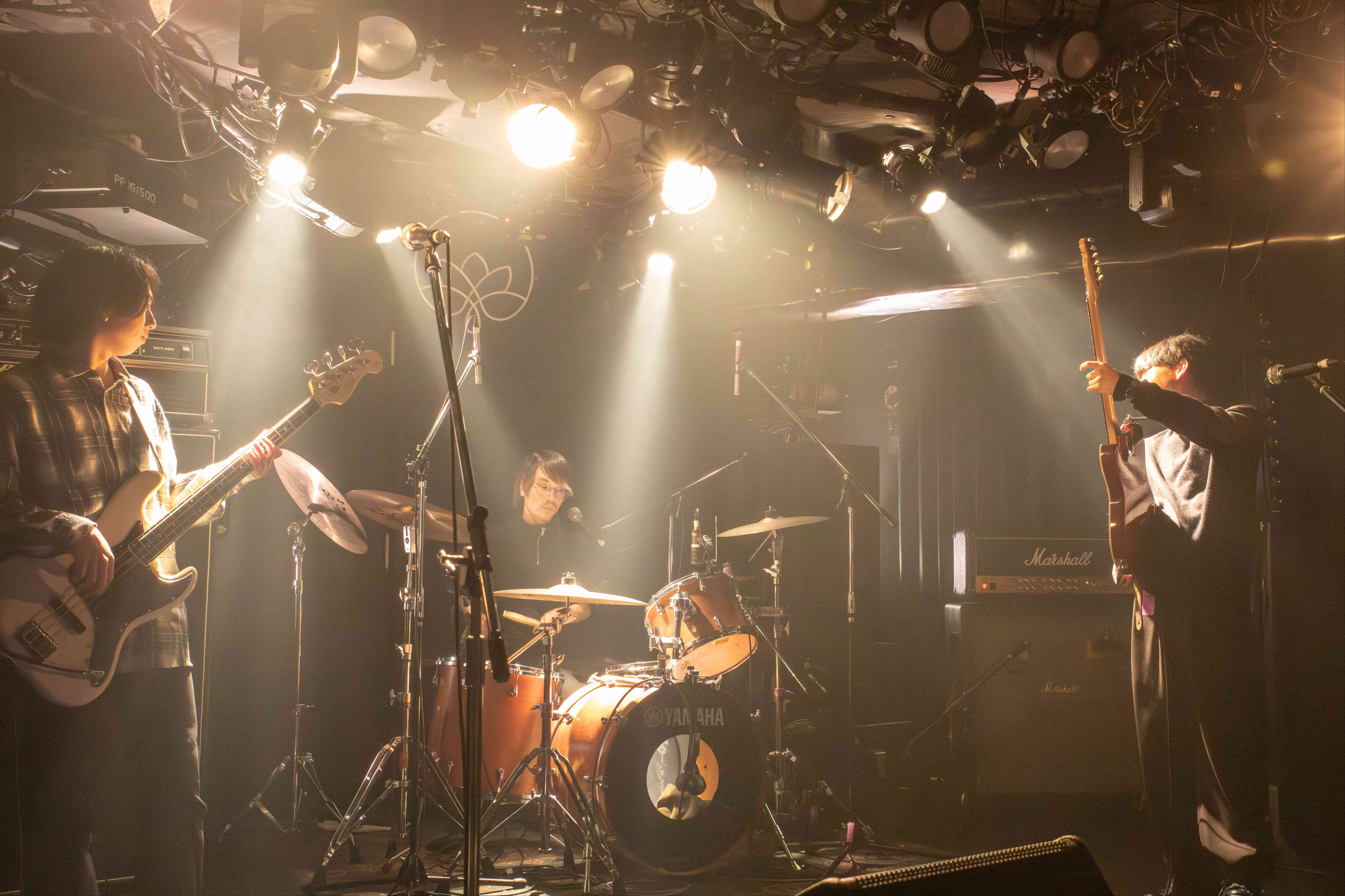Live Photos